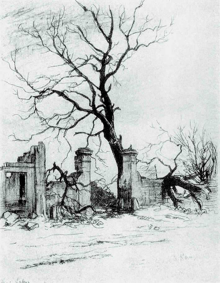  阿尔图尔·康波夫 Arthur kampf —— 冬天的树